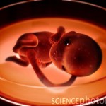 Artificial reproduction